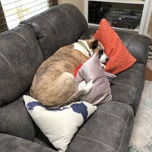 Meet your Posher, Andrew